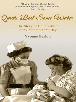 cover image of Quick Boil Some Water
